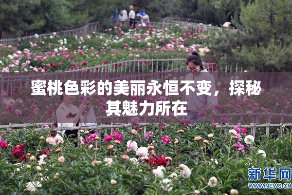 蜜桃色彩的美丽永恒不变，探秘其魅力所在