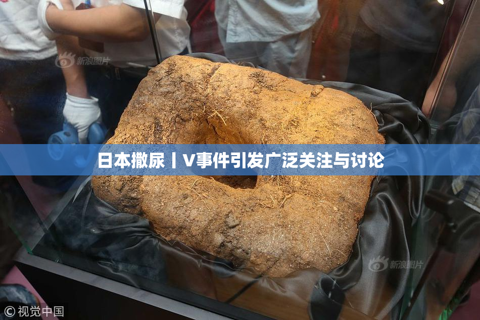 日本撒尿丨V事件引发广泛关注与讨论