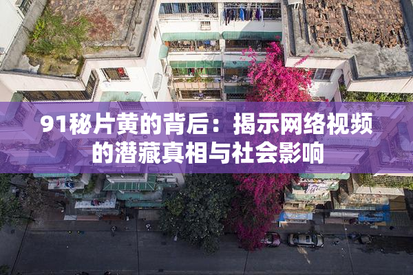 91秘片黄的背后：揭示网络视频的潜藏真相与社会影响