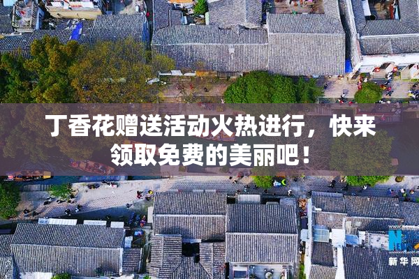 丁香花赠送活动火热进行，快来领取免费的美丽吧！