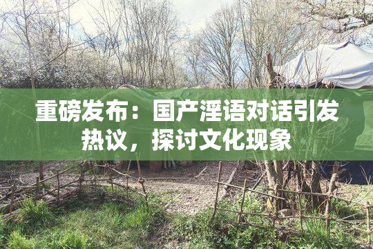 重磅发布：国产淫语对话引发热议，探讨文化现象