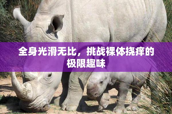 全身光滑无比，挑战裸体挠痒的极限趣味