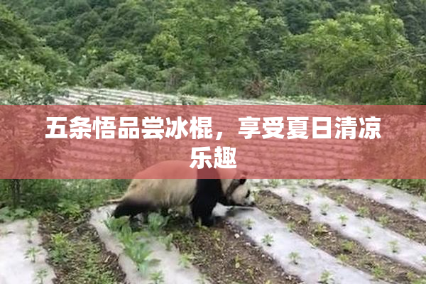 五条悟品尝冰棍，享受夏日清凉乐趣
