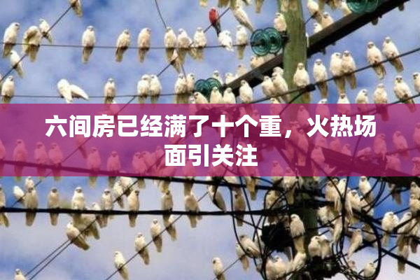六间房已经满了十个重，火热场面引关注