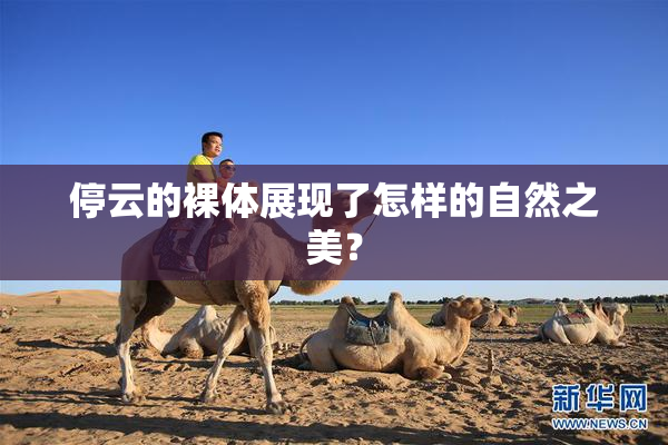 停云的裸体展现了怎样的自然之美？