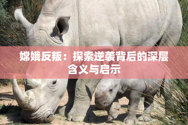 嫦娥反叛：探索逆袭背后的深层含义与启示