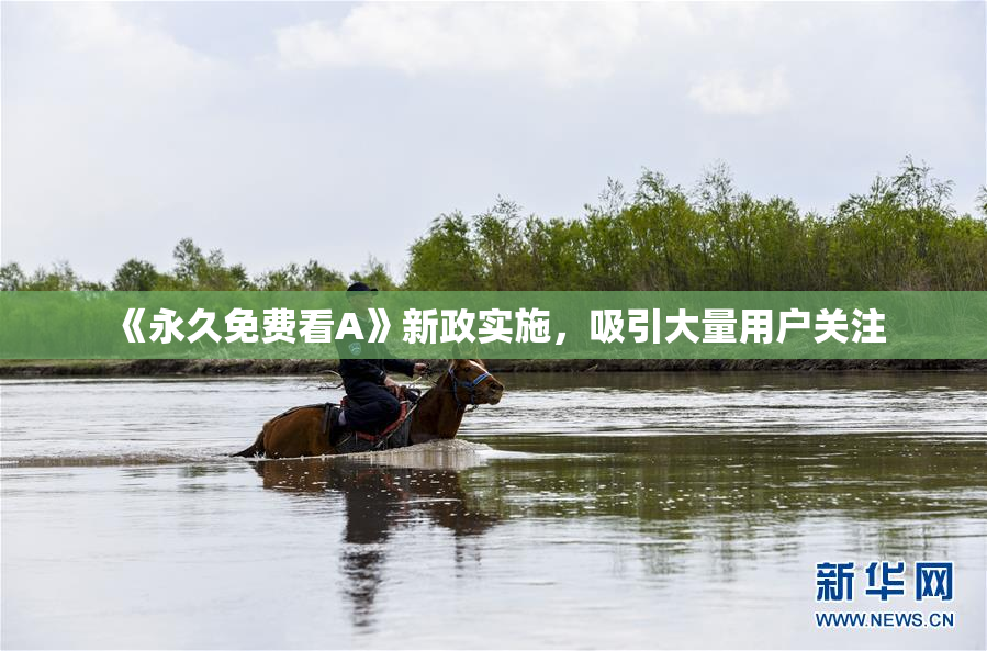 《永久免费看A》新政实施，吸引大量用户关注