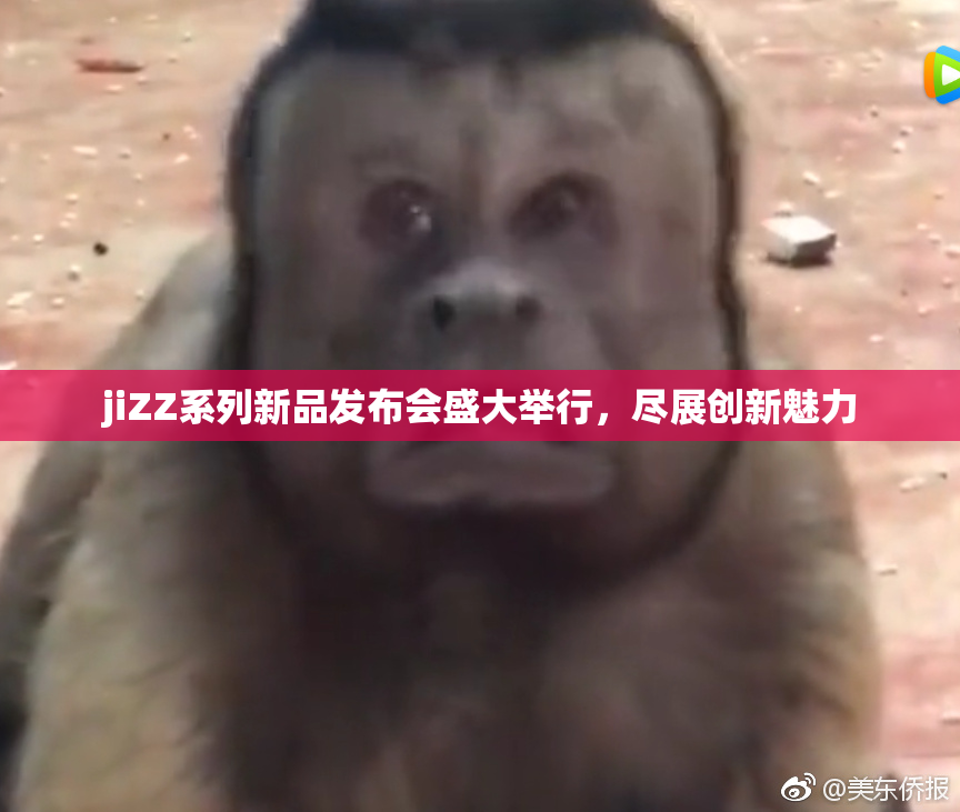 jiZZ系列新品发布会盛大举行，尽展创新魅力