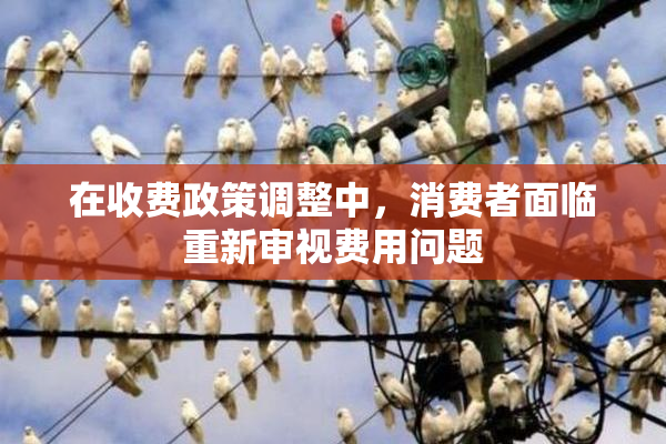 在收费政策调整中，消费者面临重新审视费用问题