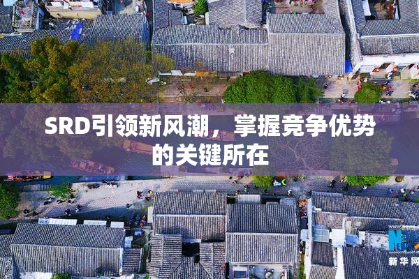 SRD引领新风潮，掌握竞争优势的关键所在