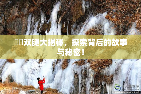 妺妺双腿大揭秘，探索背后的故事与秘密！