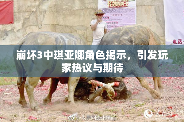 崩坏3中琪亚娜角色揭示，引发玩家热议与期待