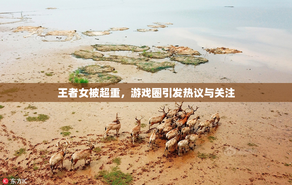 王者女被超重，游戏圈引发热议与关注
