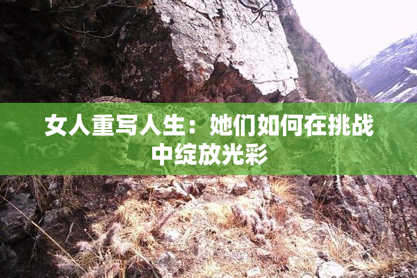 女人重写人生：她们如何在挑战中绽放光彩