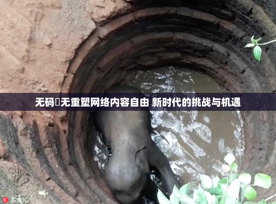 无码囯无重塑网络内容自由 新时代的挑战与机遇