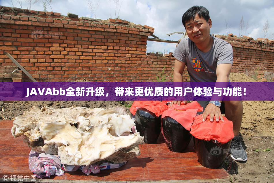 JAVAbb全新升级，带来更优质的用户体验与功能！