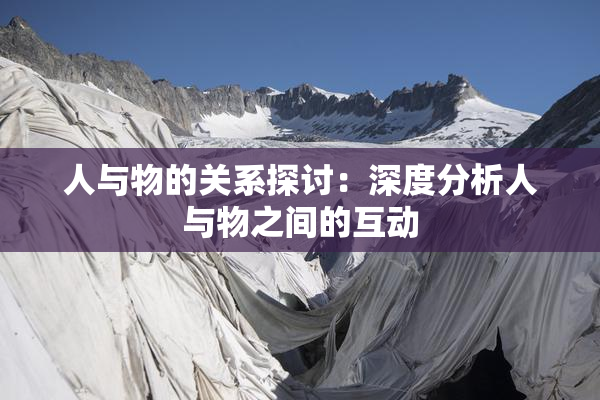 人与物的关系探讨：深度分析人与物之间的互动
