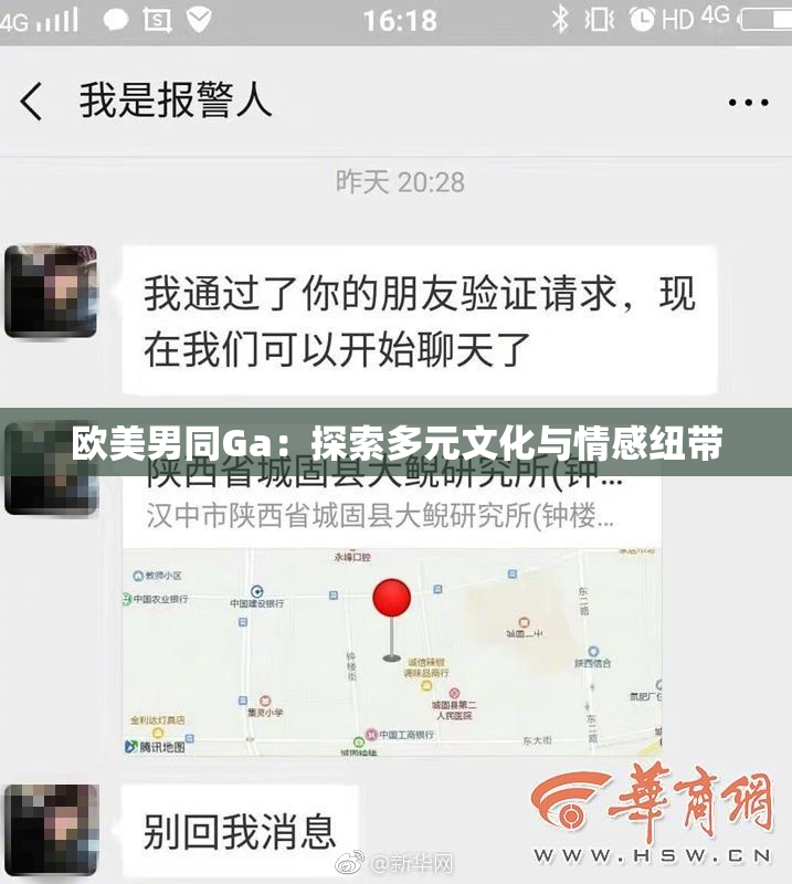 欧美男同Ga：探索多元文化与情感纽带