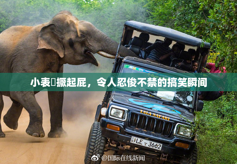 小表妺撅起屁，令人忍俊不禁的搞笑瞬间