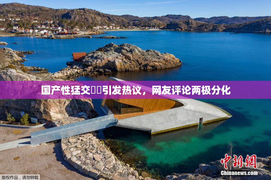 国产性猛交❌‌引发热议，网友评论两极分化