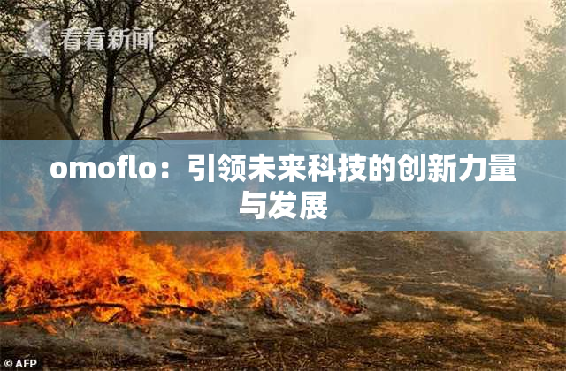 omoflo：引领未来科技的创新力量与发展