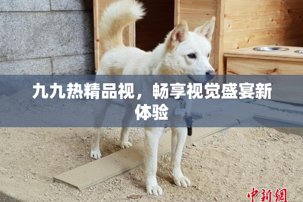 九九热精品视，畅享视觉盛宴新体验