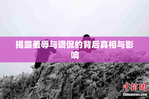 揭露羞辱与调侃的背后真相与影响