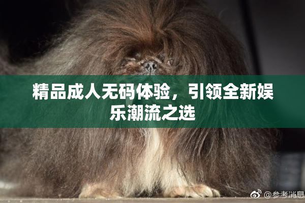 精品成人无码体验，引领全新娱乐潮流之选