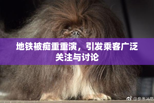 地铁被痴重重演，引发乘客广泛关注与讨论