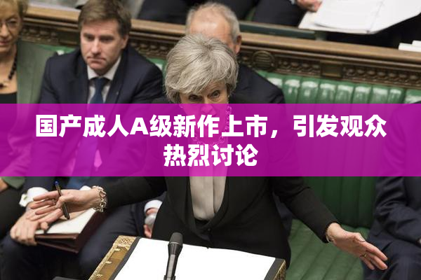 国产成人A级新作上市，引发观众热烈讨论