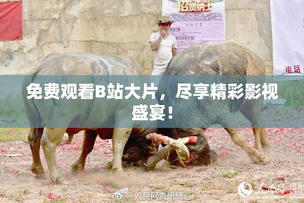 免费观看B站大片，尽享精彩影视盛宴！