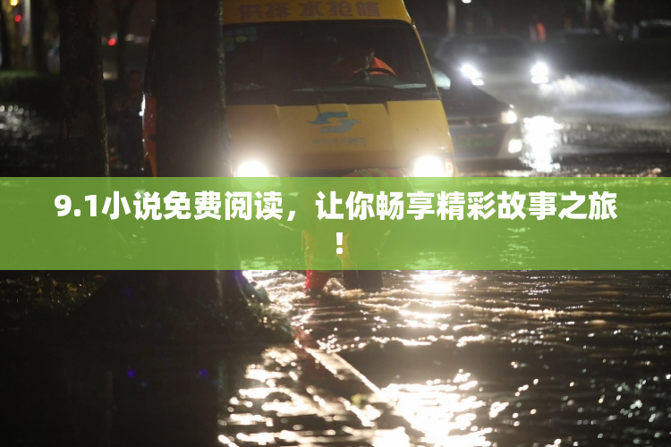 9.1小说免费阅读，让你畅享精彩故事之旅！