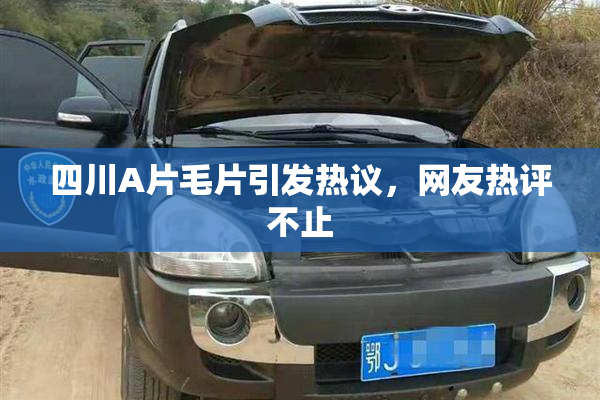 四川A片毛片引发热议，网友热评不止