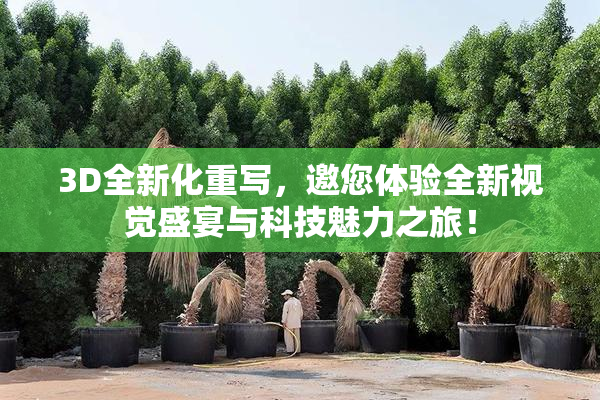3D全新化重写，邀您体验全新视觉盛宴与科技魅力之旅！