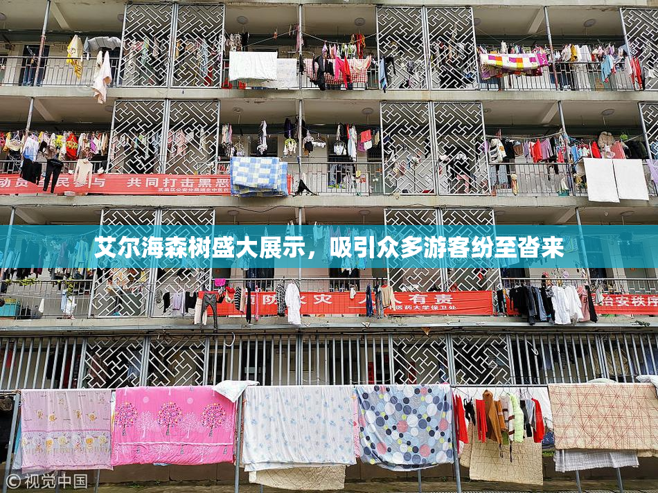艾尔海森树盛大展示，吸引众多游客纷至沓来
