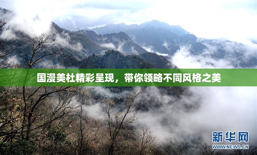 国漫美杜精彩呈现，带你领略不同风格之美