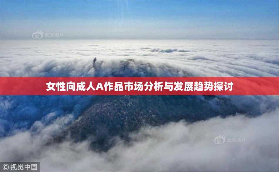 女性向成人A作品市场分析与发展趋势探讨