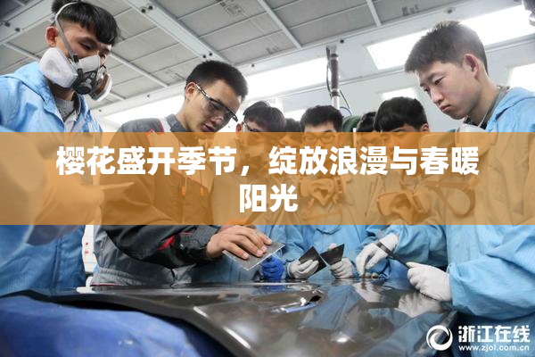 樱花盛开季节，绽放浪漫与春暖阳光