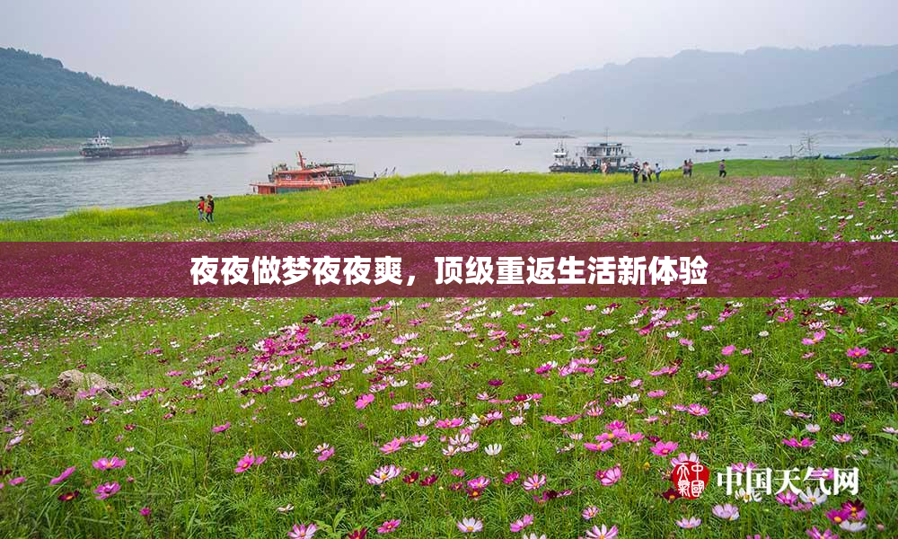 夜夜做梦夜夜爽，顶级重返生活新体验