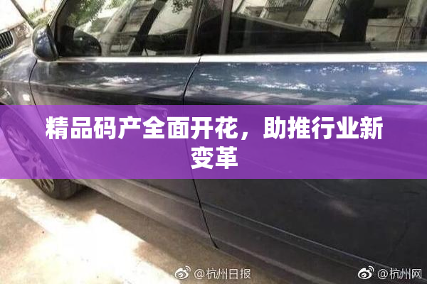 精品码产全面开花，助推行业新变革