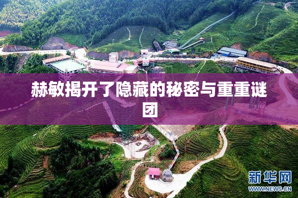 赫敏揭开了隐藏的秘密与重重谜团