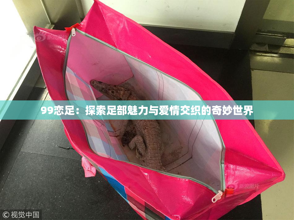 99恋足：探索足部魅力与爱情交织的奇妙世界