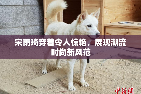 宋雨琦穿着令人惊艳，展现潮流时尚新风范