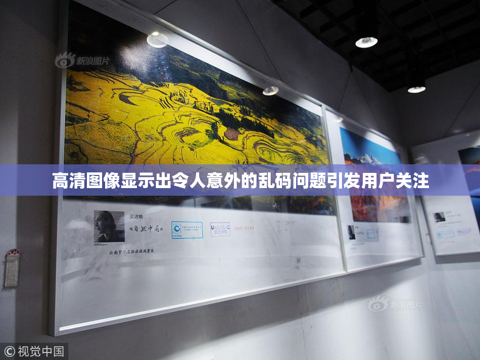 高清图像显示出令人意外的乱码问题引发用户关注