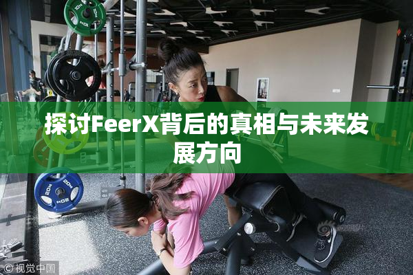 探讨FeerX背后的真相与未来发展方向