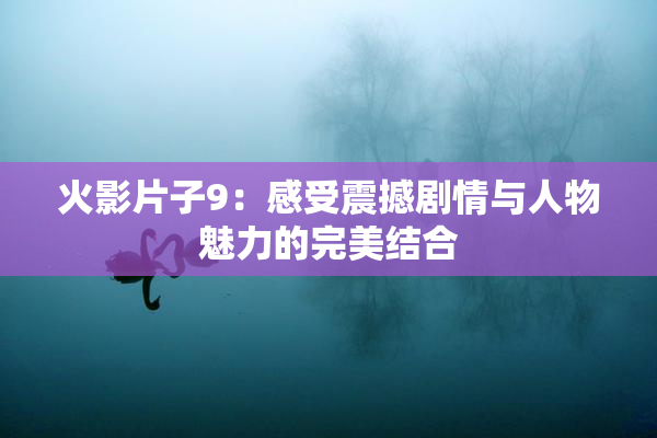 火影片子9：感受震撼剧情与人物魅力的完美结合