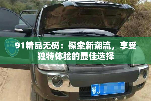 91精品无码：探索新潮流，享受独特体验的最佳选择