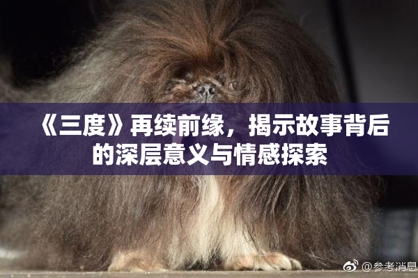 《三度》再续前缘，揭示故事背后的深层意义与情感探索