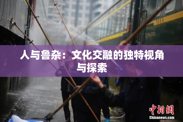 人与鲁杂：文化交融的独特视角与探索