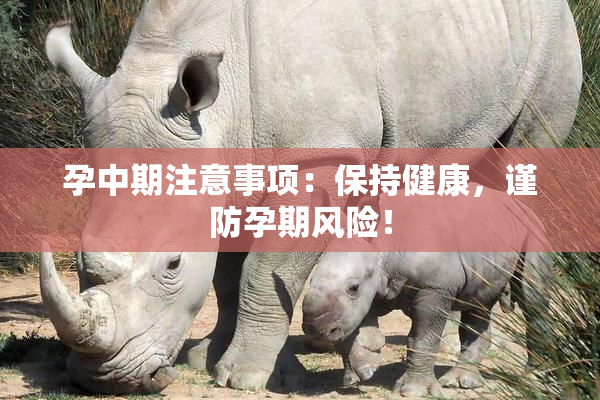 孕中期注意事项：保持健康，谨防孕期风险！